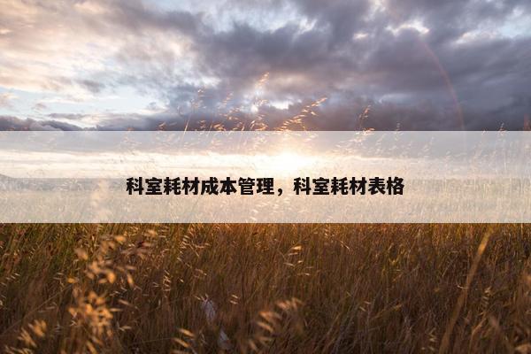 科室耗材成本管理，科室耗材表格
