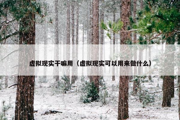 虚拟现实干嘛用（虚拟现实可以用来做什么）