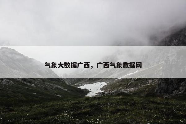 气象大数据广西，广西气象数据网
