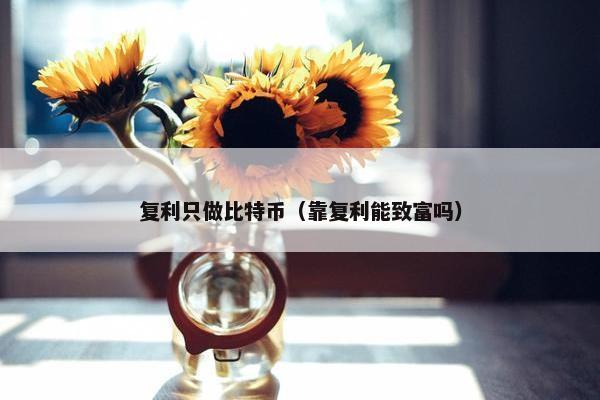 复利只做比特币（靠复利能致富吗）