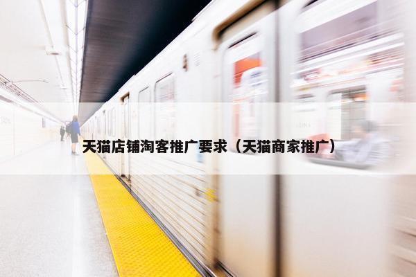 天猫店铺淘客推广要求（天猫商家推广）