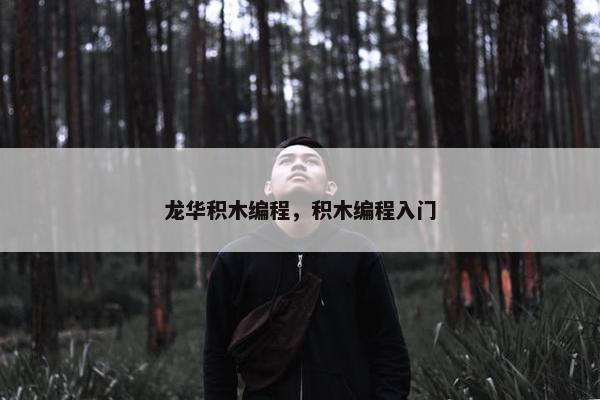 龙华积木编程，积木编程入门