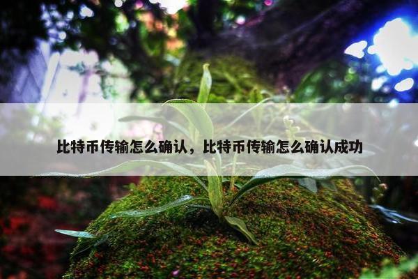 比特币传输怎么确认，比特币传输怎么确认成功
