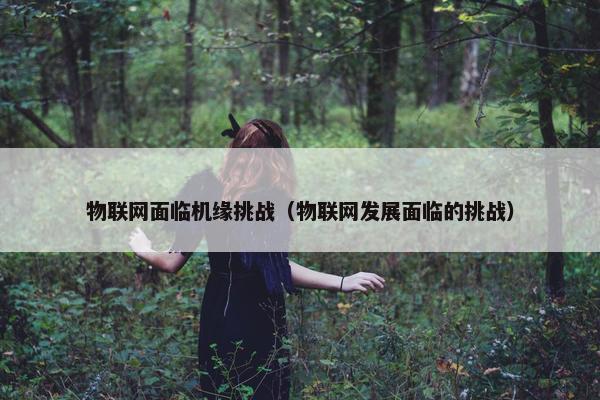 物联网面临机缘挑战（物联网发展面临的挑战）