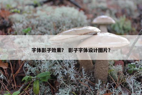 字体影子效果？ 影子字体设计图片？