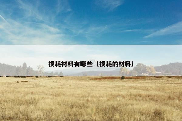 损耗材料有哪些（损耗的材料）