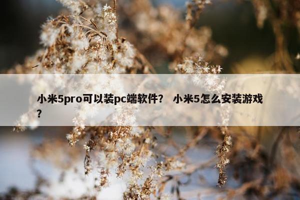 小米5pro可以装pc端软件？ 小米5怎么安装游戏？