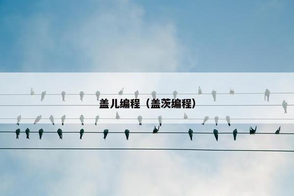 盖儿编程（盖茨编程）