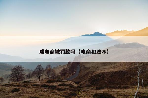 成电商被罚款吗（电商犯法不）