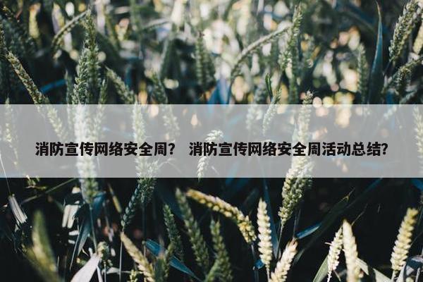 消防宣传网络安全周？ 消防宣传网络安全周活动总结？