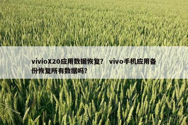 vivioX20应用数据恢复？ vivo手机应用备份恢复所有数据吗？