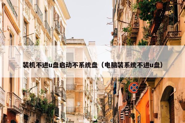 装机不进u盘启动不系统盘（电脑装系统不进u盘）