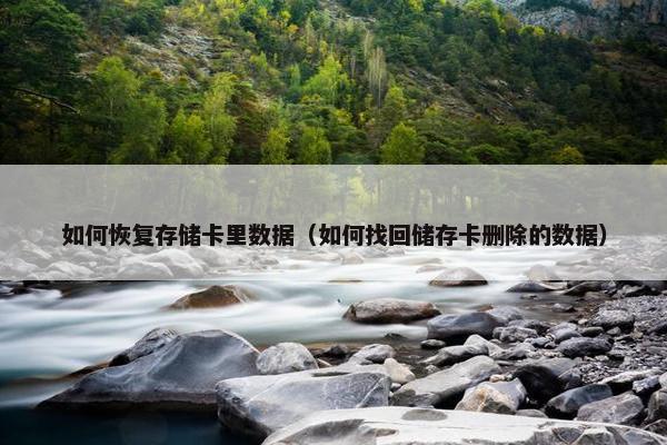 如何恢复存储卡里数据（如何找回储存卡删除的数据）