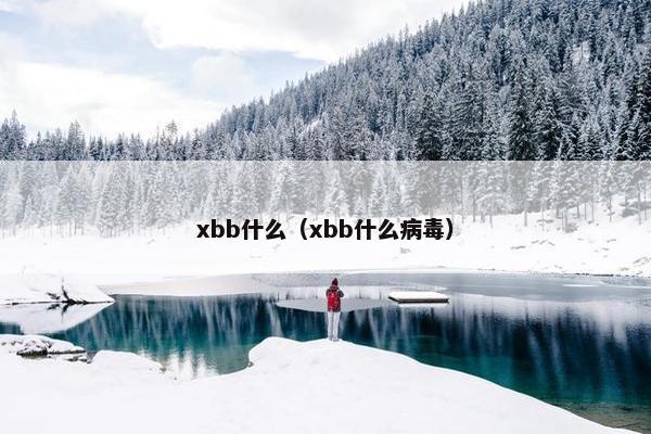 xbb什么（xbb什么病毒）