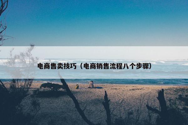 电商售卖技巧（电商销售流程八个步骤）