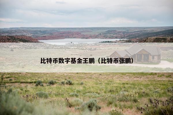 比特币数字基金王鹏（比特币张鹏）