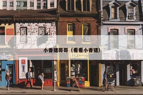 小香猪哥哥（看看小香猪）