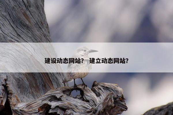建设动态网站？ 建立动态网站？