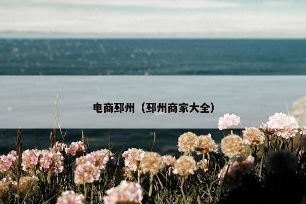 电商邳州（邳州商家大全）