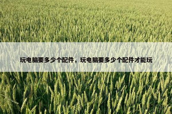 玩电脑要多少个配件，玩电脑要多少个配件才能玩