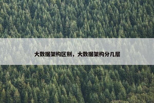 大数据架构区别，大数据架构分几层