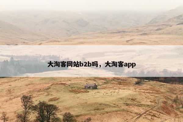 大淘客网站b2b吗，大淘客app