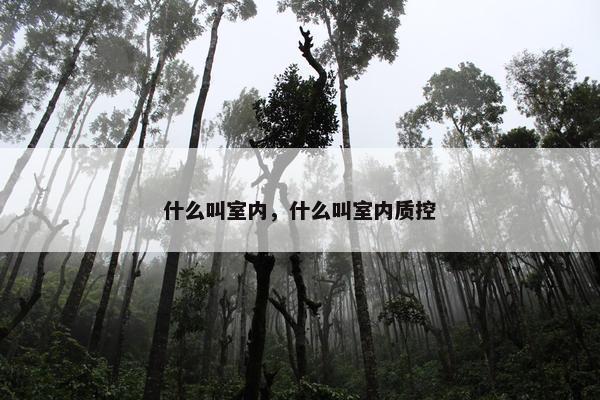 什么叫室内，什么叫室内质控