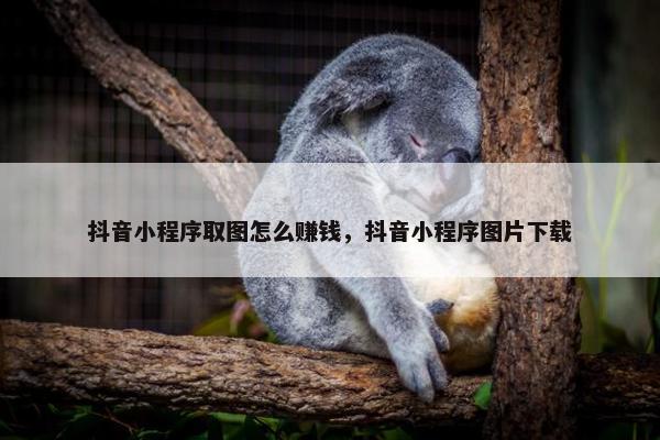 抖音小程序取图怎么赚钱，抖音小程序图片下载