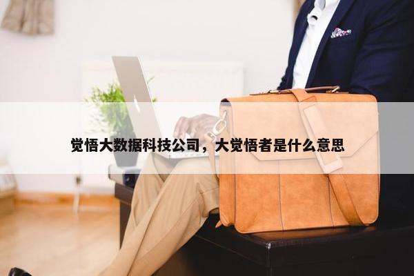 觉悟大数据科技公司，大觉悟者是什么意思