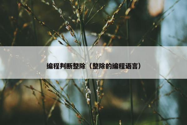 编程判断整除（整除的编程语言）