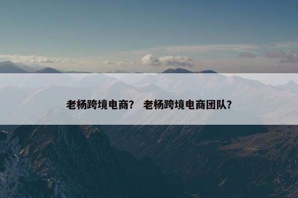 老杨跨境电商？ 老杨跨境电商团队？