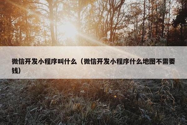 微信开发小程序叫什么（微信开发小程序什么地图不需要钱）