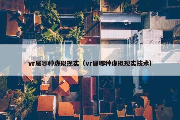 vr属哪种虚拟现实（vr属哪种虚拟现实技术）