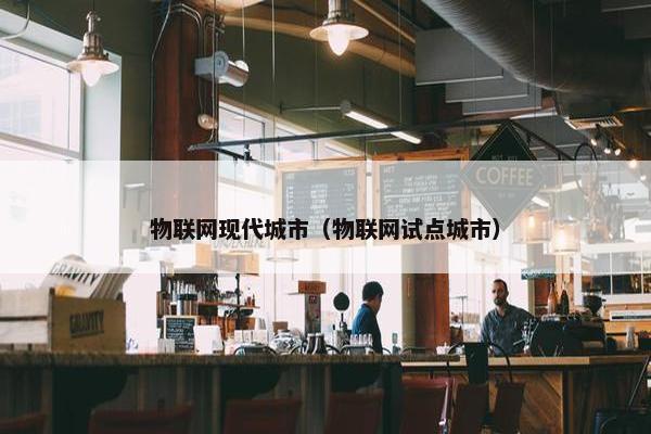 物联网现代城市（物联网试点城市）