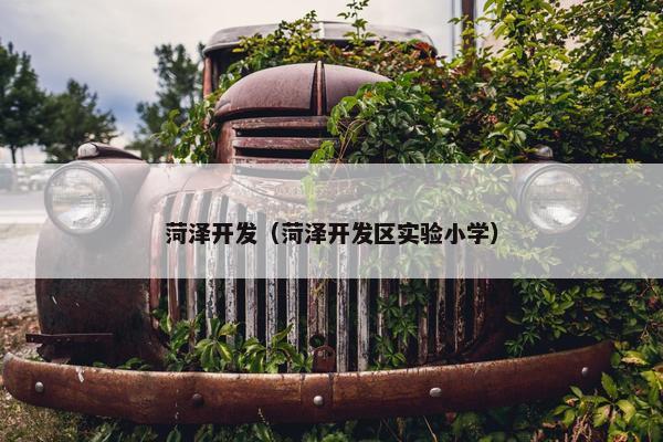 菏泽开发（菏泽开发区实验小学）