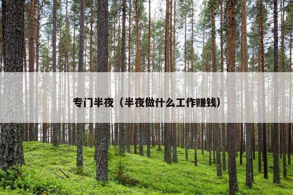 专门半夜（半夜做什么工作赚钱）