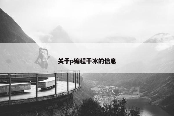 关于p编程干冰的信息
