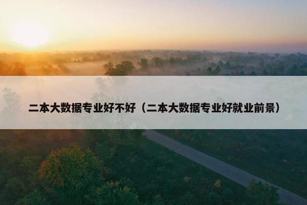 二本大数据专业好不好（二本大数据专业好就业前景）