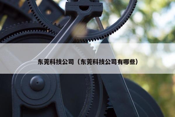 东莞科技公司（东莞科技公司有哪些）