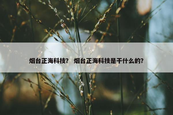 烟台正海科技？ 烟台正海科技是干什么的？