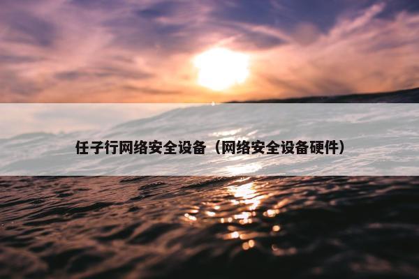 任子行网络安全设备（网络安全设备硬件）