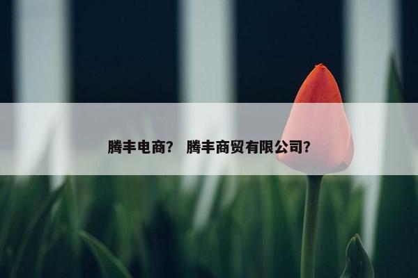 腾丰电商？ 腾丰商贸有限公司？