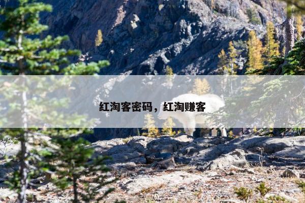 红淘客密码，红淘赚客