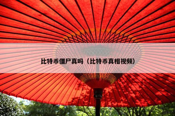 比特币僵尸真吗（比特币真相视频）