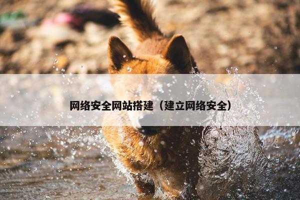 网络安全网站搭建（建立网络安全）