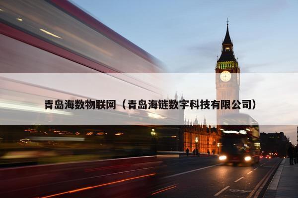 青岛海数物联网（青岛海链数字科技有限公司）