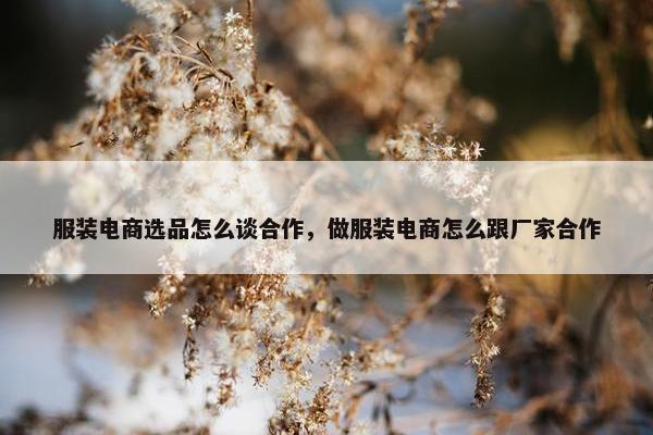 服装电商选品怎么谈合作，做服装电商怎么跟厂家合作