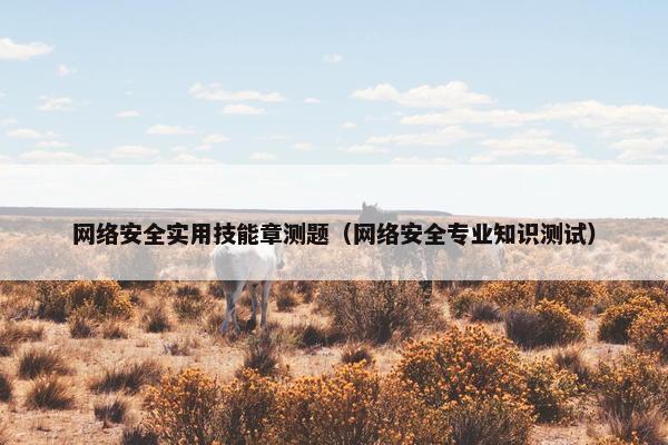 网络安全实用技能章测题（网络安全专业知识测试）