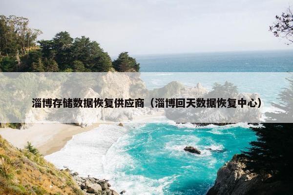 淄博存储数据恢复供应商（淄博回天数据恢复中心）