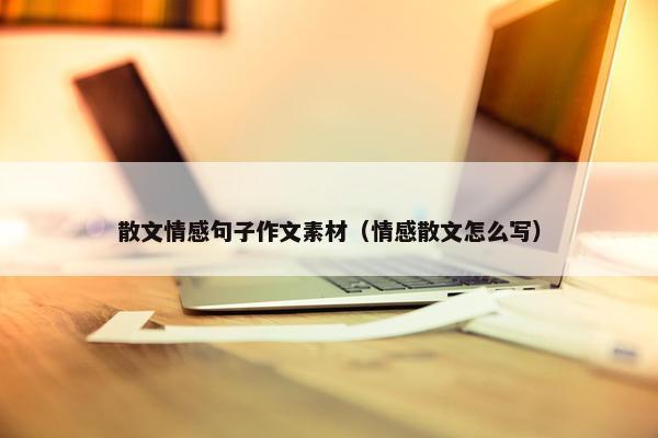 散文情感句子作文素材（情感散文怎么写）